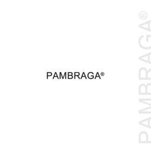 Pam-Braga.jpg